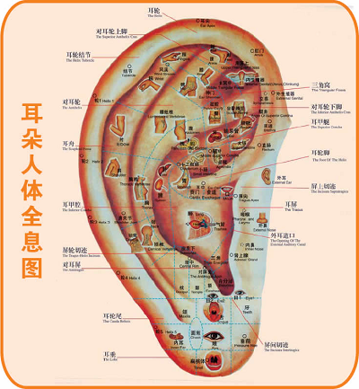 大港澳安卓下载