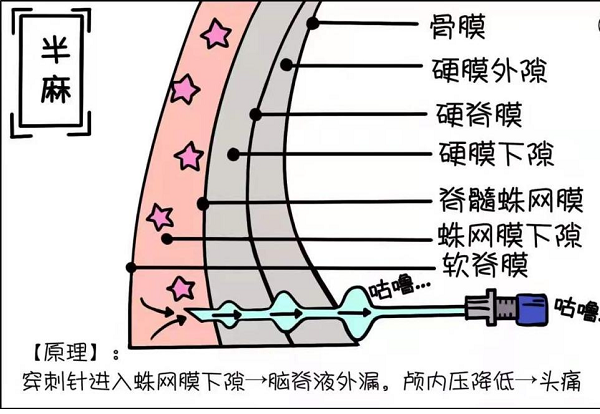 大港澳安卓下载