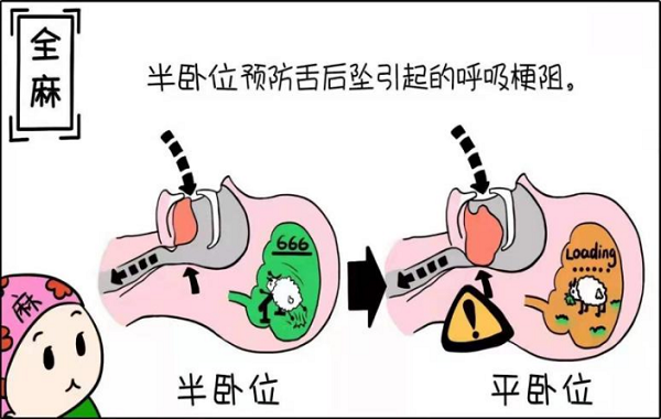 大港澳安卓下载