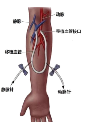 大港澳安卓下载